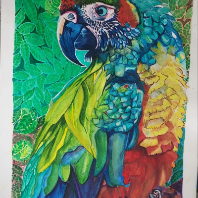 Nature's Palette: The Ever-Present Colors of the Spirit
