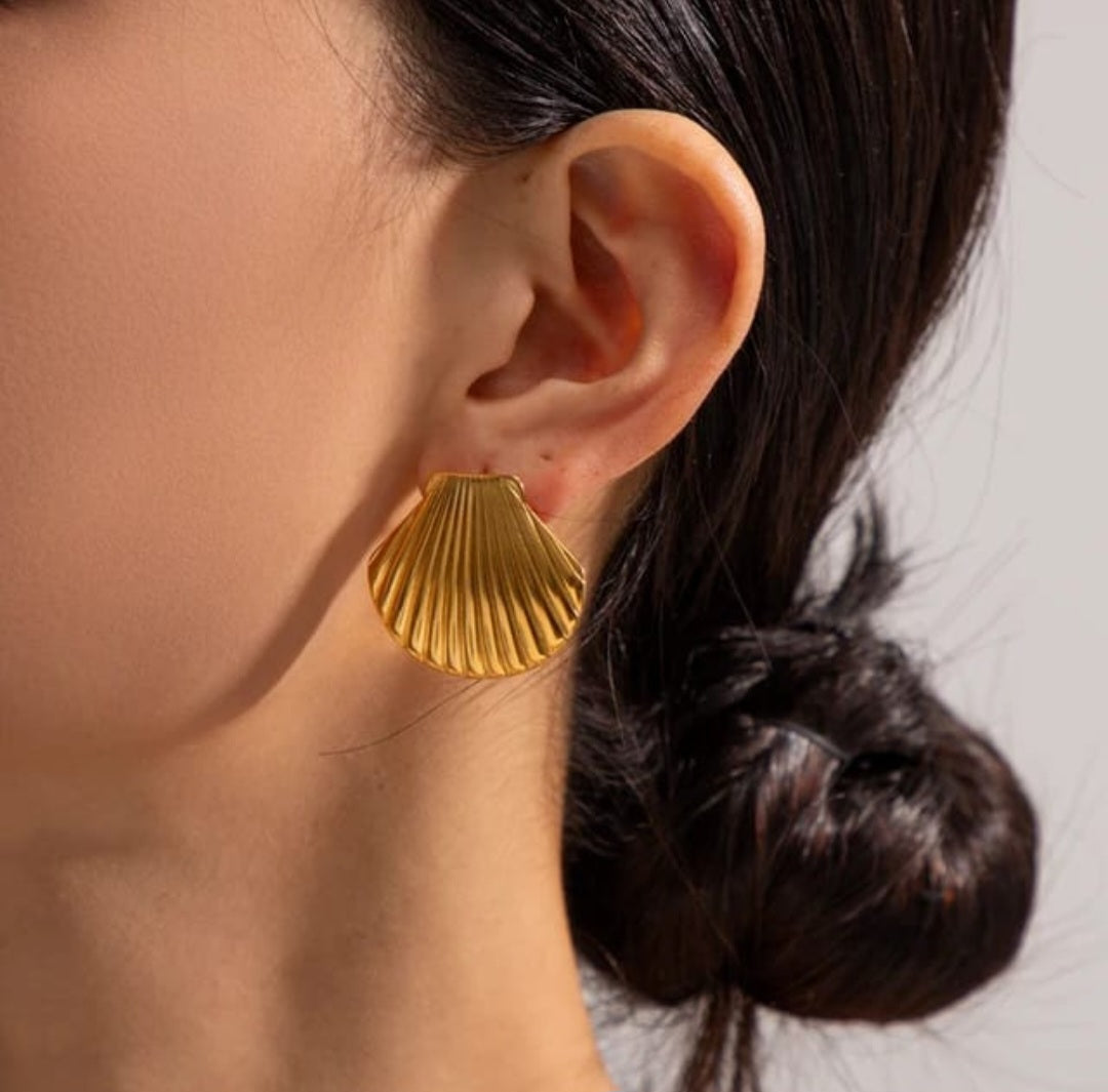 Beautiful stainless steel earrings