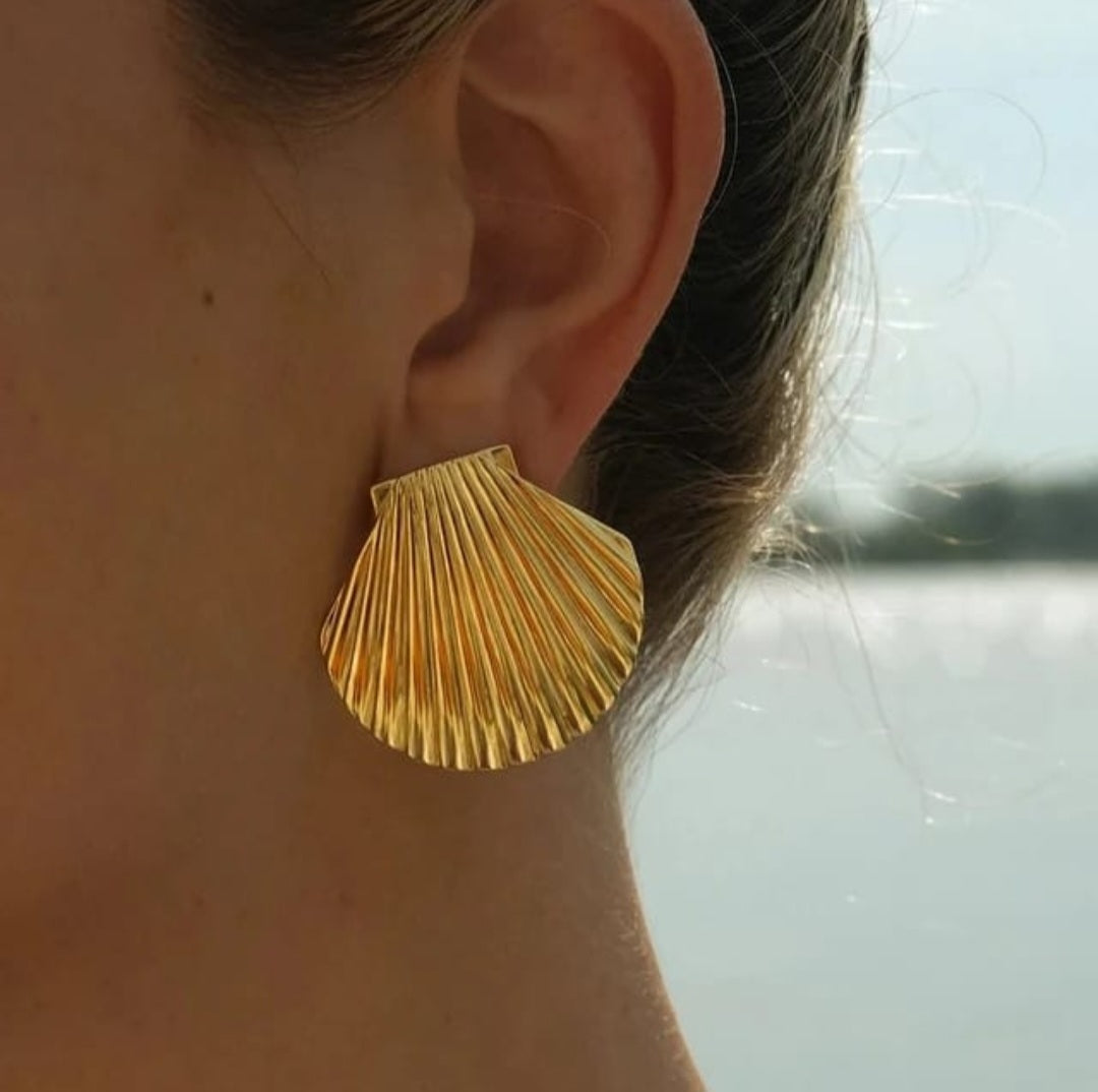 Beautiful stainless steel earrings