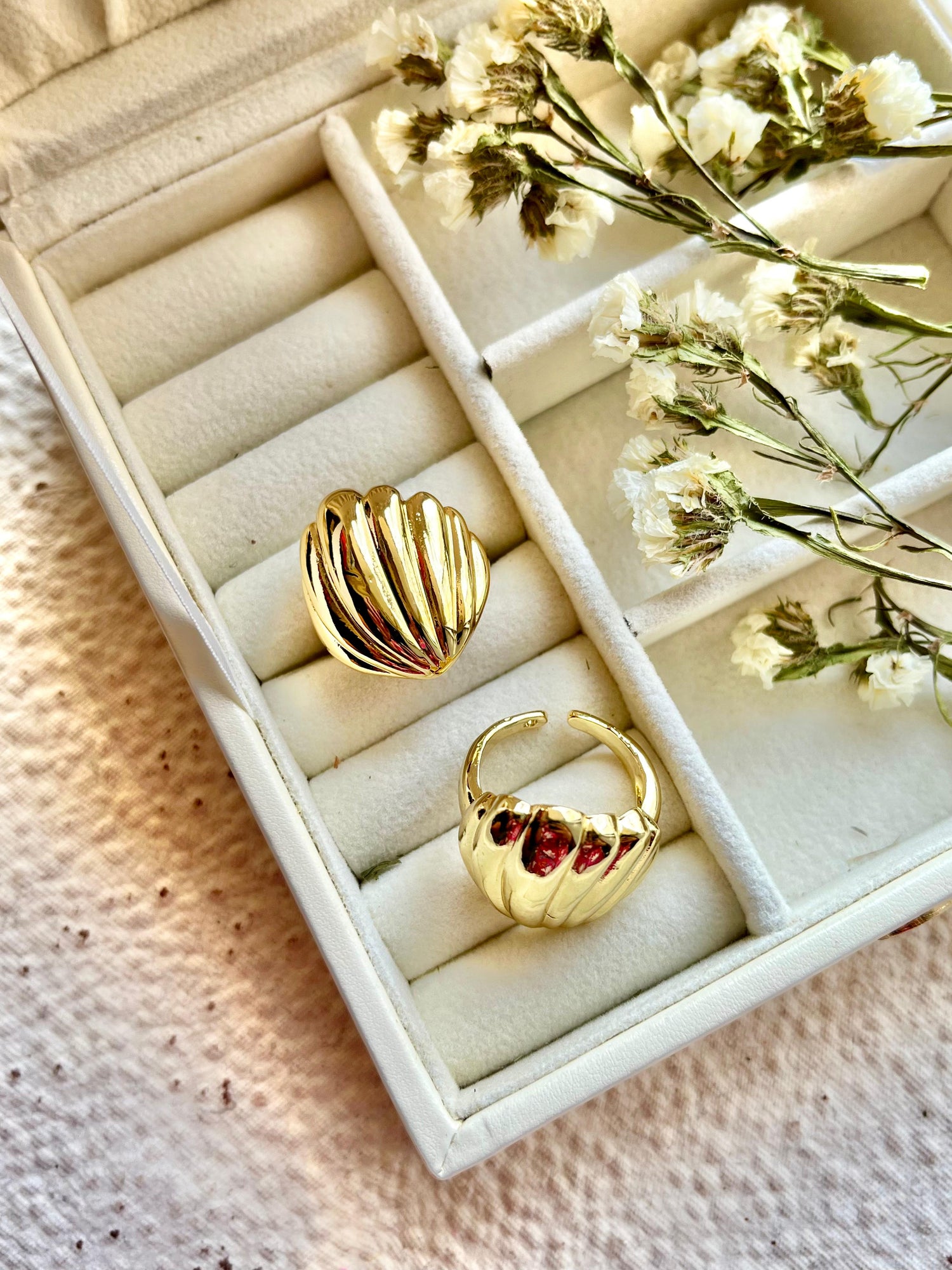 Shell Ring
