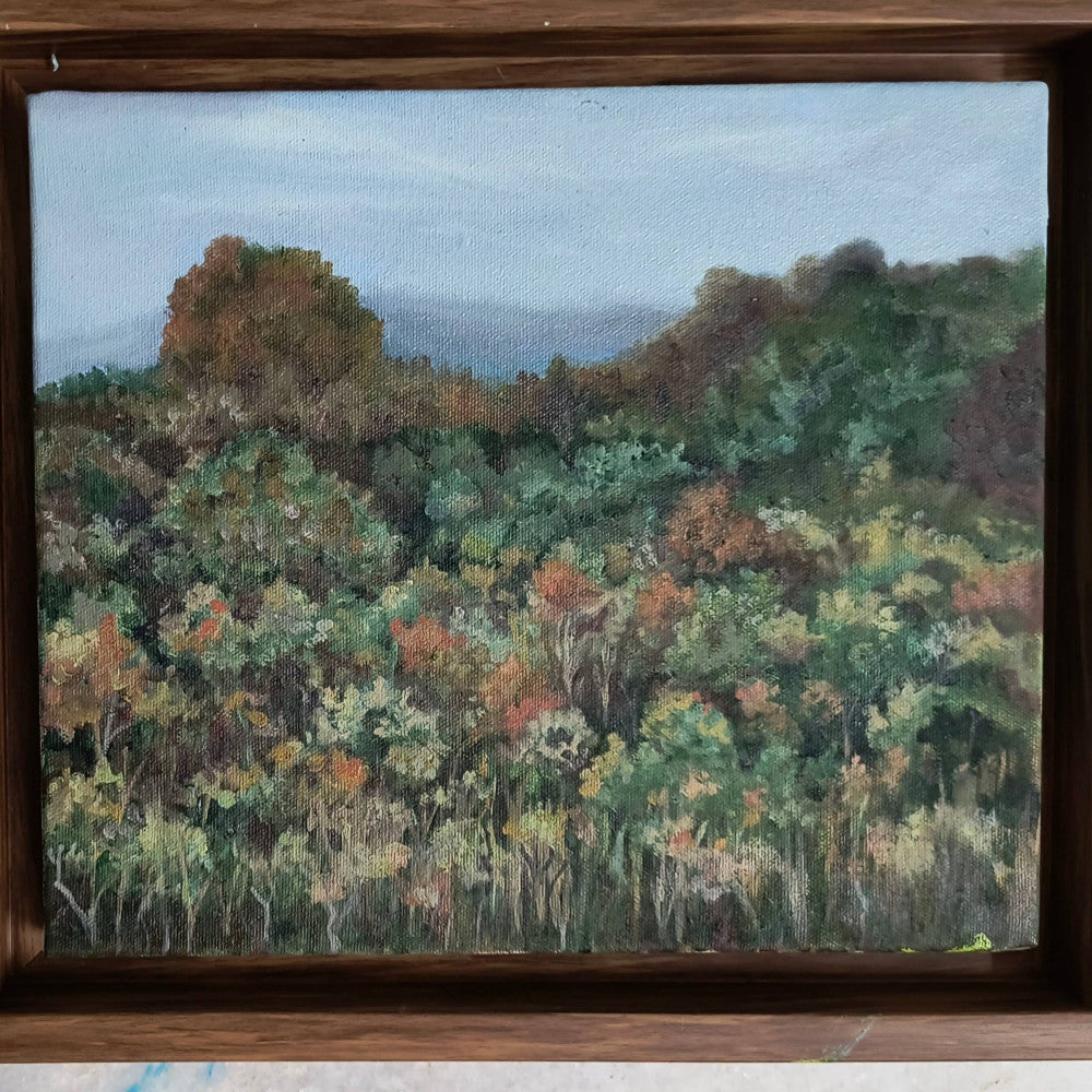 Seasons - Autumn Forest