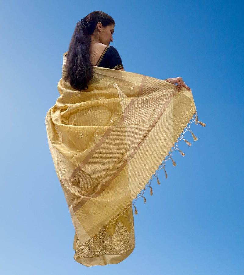 Linen Tissue Embroidered Saree