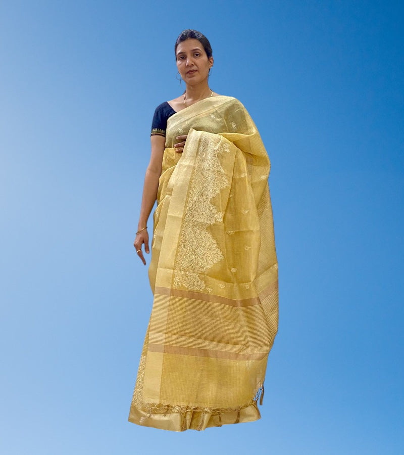 Linen Tissue Embroidered Saree