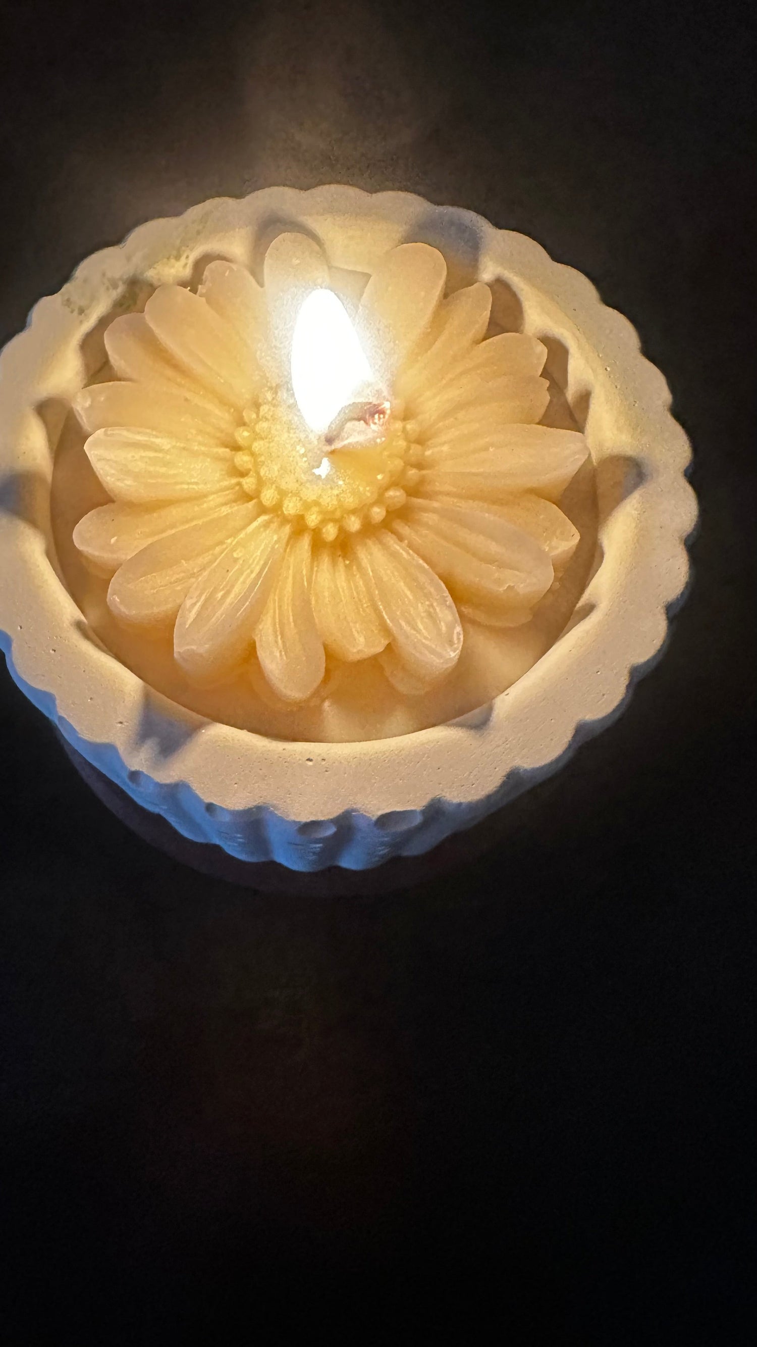 Scented Daisy in a Jar - Set of 20