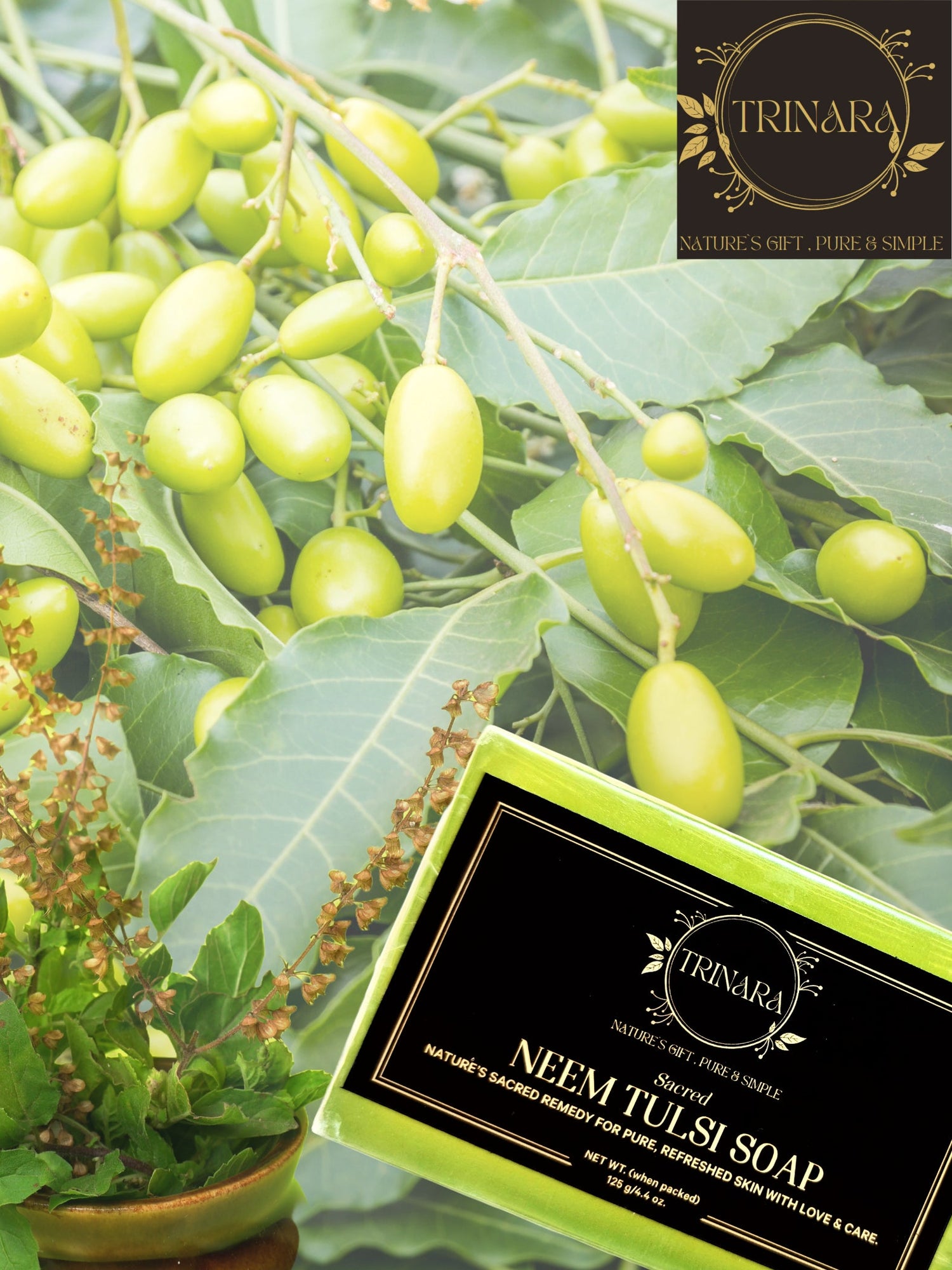 DETOX & HYDRATE 3 Pcs Soap Combo (SOFT COCONUT MILK & HONEY + NEEM ALOEVERA SOAP + LEMONGRASS SOAP)