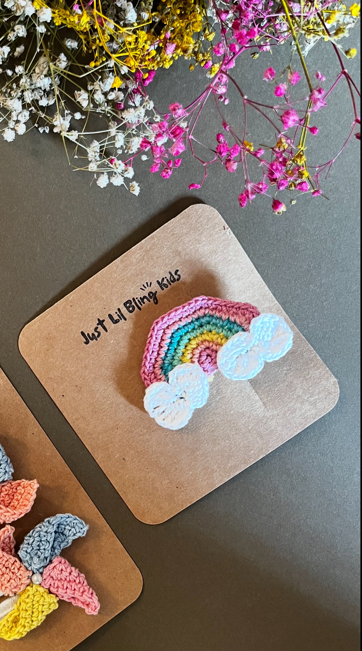 Rainbow Aligator Clip